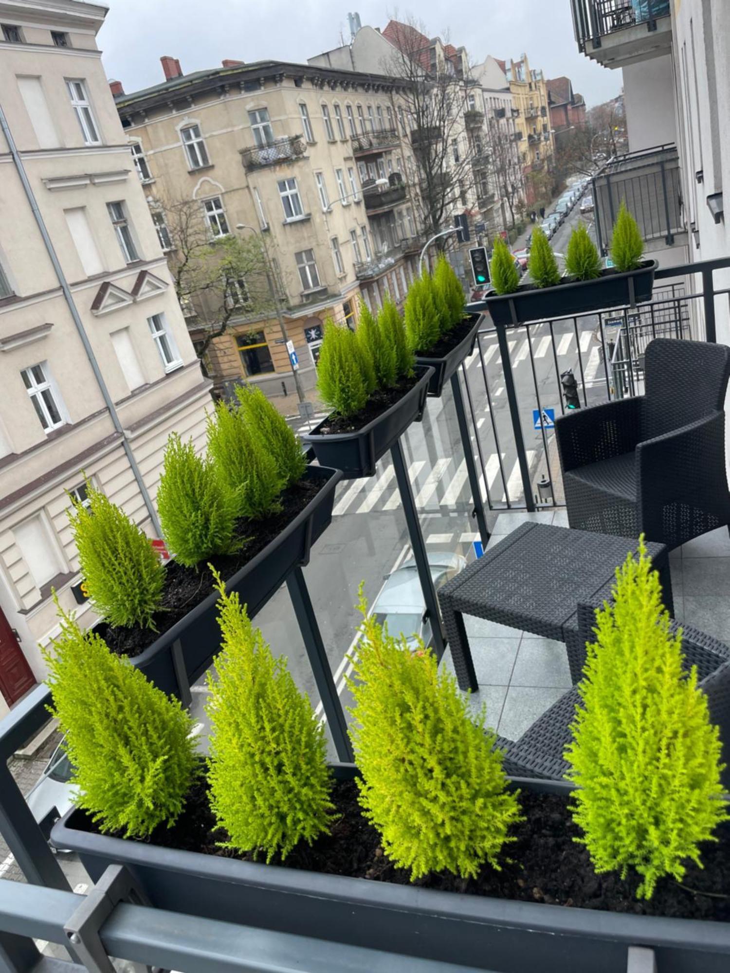 Chillout Polna - Parking Lägenhet Poznań Exteriör bild